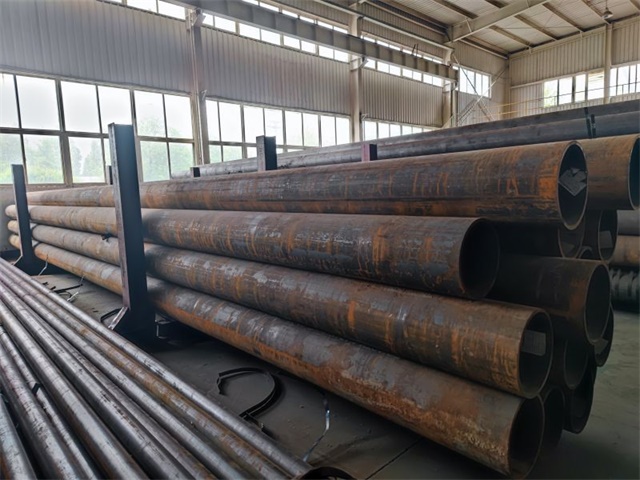 IMG_20230415_104409.jpg
